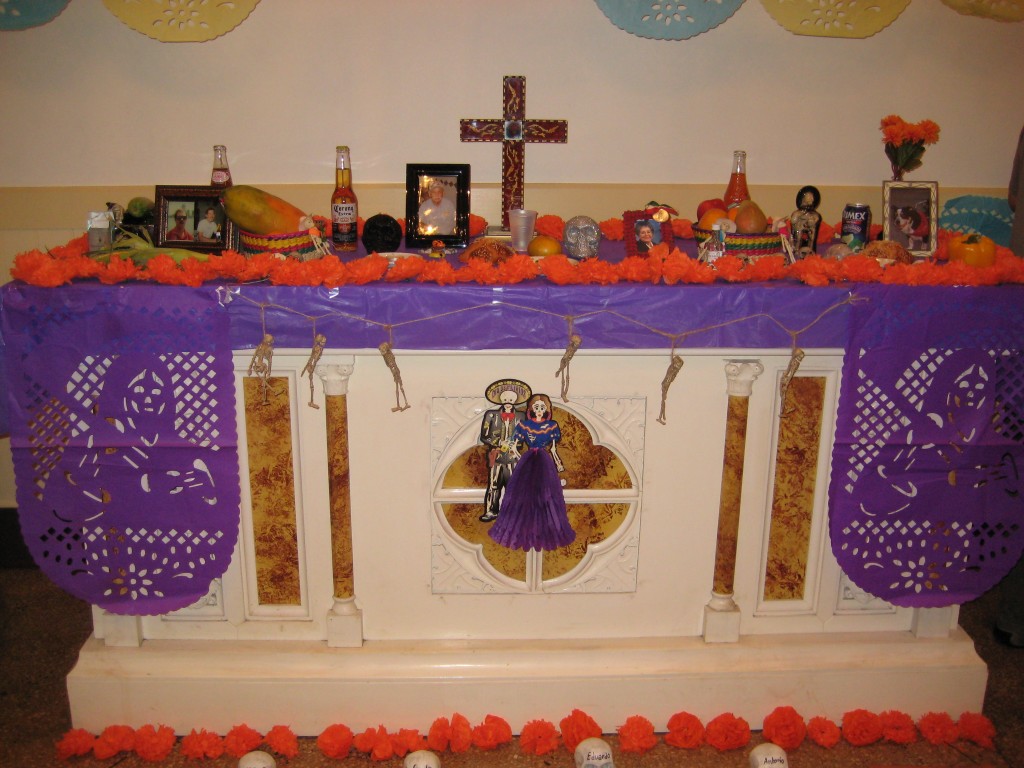 IMG_7908 IMG_7908