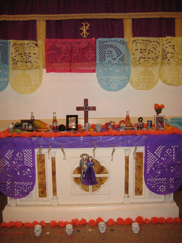 IMG_7910 IMG_7910