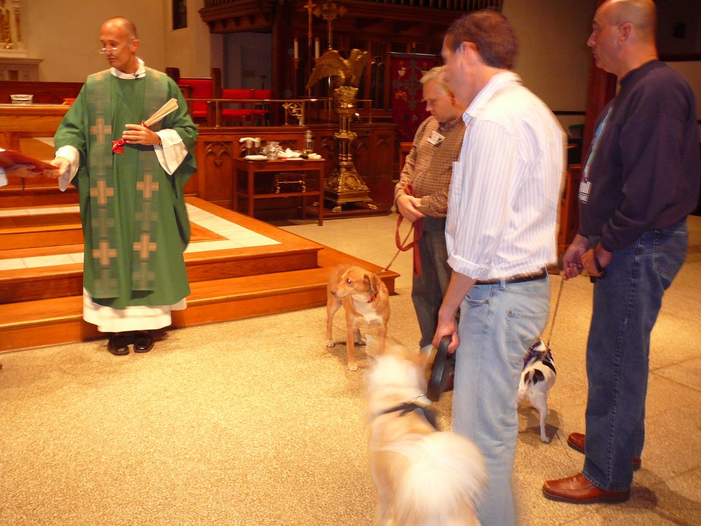 St_Francis_Blessing